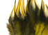 1 Dozen - Short Yellow Badger Whiting Farm Rooster Saddle Hair Extension Feathers