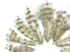 1 Dozen - Bleached Grizzly Mini Rooster Chickabou Fluff Whiting Hair Feathers
