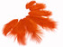 1 Dozen - Solid Orange Mini Rooster Chickabou Fluff Whiting Hair Feathers