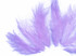 1 Dozen - Solid Lavender Mini Rooster Chickabou Fluff Whiting Hair Feathers