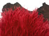 6 Inch Strip - Red Ostrich Fringe Trim Feather