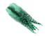 1 Dozen - Medium Mint Green Grizzly Rooster Saddle Whiting Hair Extension Feathers