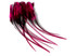 1 Dozen - Medium Hot Pink Badger Rooster Saddle Whiting Hair Extension Feathers