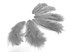 1 Dozen - Solid Gray Mini Rooster Chickabou Fluff Whiting Hair Feathers