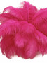 10 Pieces - 8-10" Hot Pink Ostrich Dyed Drabs Feathers
