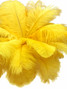 10 Pieces - 11-13" Yellow Bleached & Dyed Ostrich Drabs Body Feathers