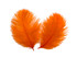 1 Pack - Orange Ostrich Small Confetti Feathers 0.3 Oz