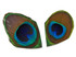 10 Pieces - Trimmed Natural Peacock Tail Eye Feathers