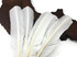 6 Pieces - White Turkey Rounds Secondary Wing Quill Feathers