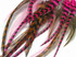 2 Dozen - Short Chocolate Berry Mix Whiting Farm Rooster Saddle Hair Extension Feathers