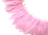 1 Yard - Light Pink Goose Pallet Parried Dyed Feather Trim