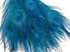 100 Pieces – Turquoise Blue Bleached & Dyed Peacock Tail Eye Wholesale Feathers (Bulk) 10-12” Long 