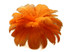 10 Pieces - 6-8" Orange Ostrich Dyed Drabs Feathers