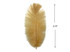 10 Pieces - 6-8" Old Gold Ostrich Dyed Drabs Feathers