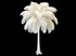 10 Pieces - 11-13" Off White Bleached Ostrich Drabs Body Feathers
