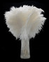 10 Pieces -  12-16" Snow White Dyed Ostrich Tail Fancy Feathers