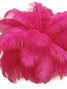 100 Pieces - 6-8" Hot Pink Ostrich Drab Wholesale Feathers (Bulk)