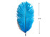 100 Pieces - 6-8" Turquoise Blue Ostrich Drab Wholesale Feathers (Bulk)