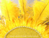 100 Pieces - 6-8" Sunshine Yellow Wholesale Ostrich Drabs Feathers (Bulk)