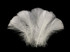 1 Pack - 2-3" White Goose Coquille Loose Feathers - 0.35 Oz.