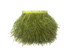 1 Yard - Olive Green Ostrich Fringe Trim Wholesale Feather (Bulk)