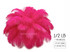 1/2 Lb - 17-19" Hot Pink Ostrich Large Drab Wholesale Feathers (Bulk)