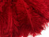 10 Pieces - 6-8" Red Ostrich Dyed Drabs Body Feathers