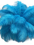 100 Pieces - 8-10" Turquoise Blue Ostrich Dyed Drab Body Wholesale Feathers (Bulk)