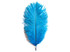 1/2 Lb. - 9-13" Turquoise Blue Dyed Ostrich Body Drab Wholesale Feathers (Bulk)