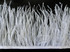 1 Yard - Snow White Ostrich Fringe Trim Wholesale Feather (Bulk)