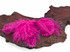 1 Pack - Hot Pink Ostrich Small Confetti Feathers 0.3 Oz