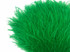 6 Inch Strip - Kelly Green Ostrich Fringe Trim Feather