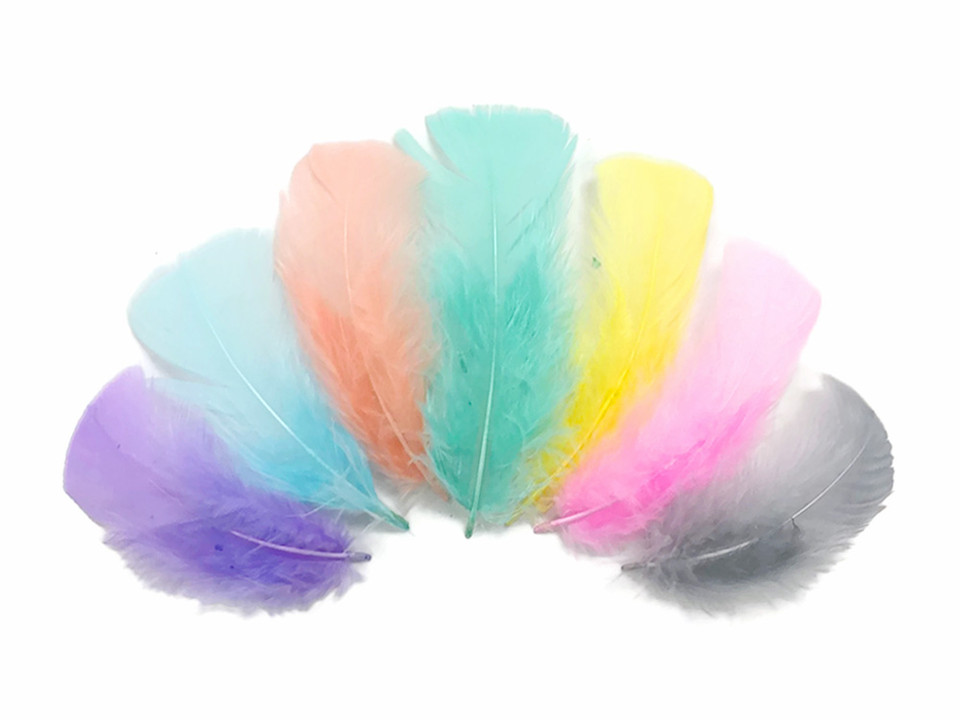 Bulk Turkey Feathers | Wholesale Craft Turkey Feathers