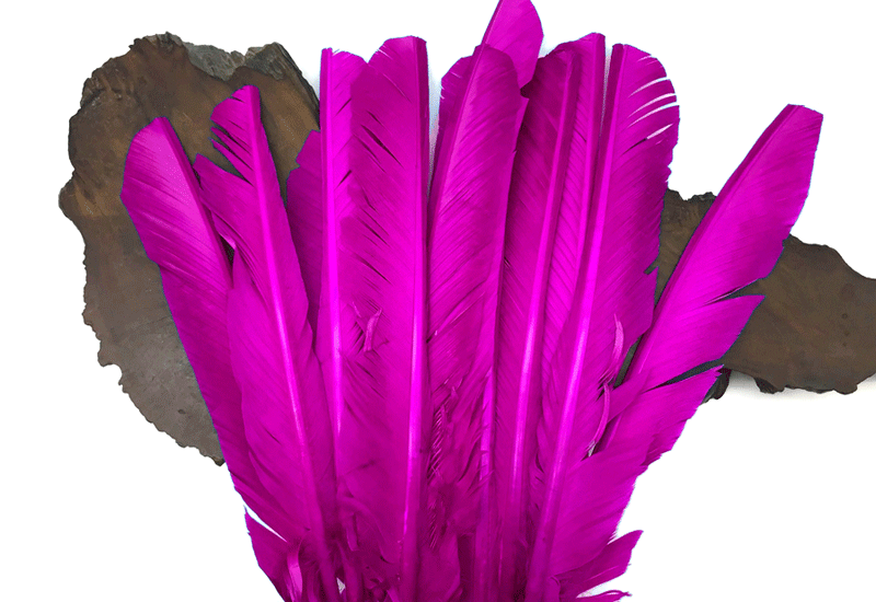 Fans - Single Feather, Striped Turkey Feather, w/ Quartz Point – Pink Heart  Healing