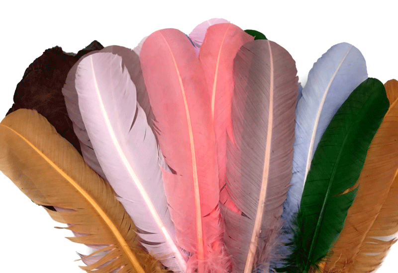 Flat Turkey Feathers 14G-Mardi Gras 