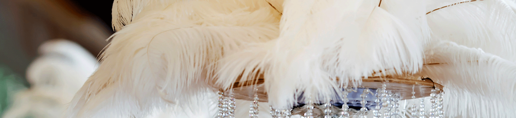 White Ostrich Feathers/Plumes Wholesale dozen bulk 28-30 inch 5 Pieces  ostrich wings ostrich drabs large feathers indian feathers feather products  ostrich wedding Centerpieces