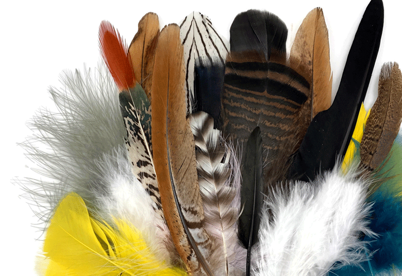 Craft Feathers. Silver and Black Faux Feathers. Feathers for Decorating or  Costuming. Display in a Vase or Include in an Arrangement. 