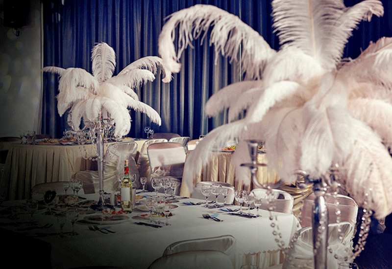 Events and Crafts  Ostrich Feather White