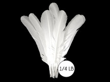 1/4 Lb - White Turkey Tom Rounds Secondary Wing Quill Wholesale Feathers (Bulk)