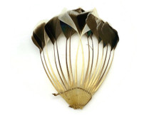 1 Piece - Natural Brown Stripped Duck Cochette Center Fan Feather Pad