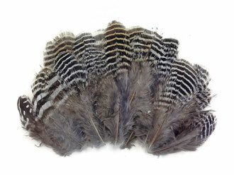 Hareline Fine Black Barred Marabou Feathers - Duck, Goose, Turkey, Hen,  Partridge