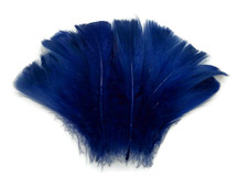 1/4 Lb - 2-3" Royal Blue Goose Coquille Loose Wholesale Feathers (Bulk)