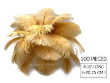100 Pieces - 8-10" Antique Gold Ostrich Dyed Drab Body Wholesale Feathers (Bulk)