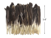 1 Pack - Natural Brown Duck Primary Wing Pointer Feathers 0.50 Oz.