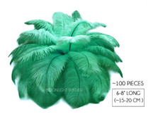 100 Pieces - 6-8" Aqua Green Wholesale Ostrich Drabs Feathers (Bulk)