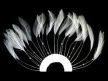 1 Piece - White Half Beaded Pinwheel Stripped Rooster Hackle Feather Pads