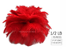 1/2 Lb - 17-19" Red Ostrich Large Drab Wholesale Feathers (Bulk)