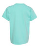 Comfort Colors 9018 Garment-Dyed Youth Heavyweight T-Shirt | Chalky Mint