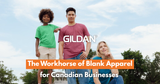 Gildan: The Workhorse of Blank Apparel for Canadian Businesses