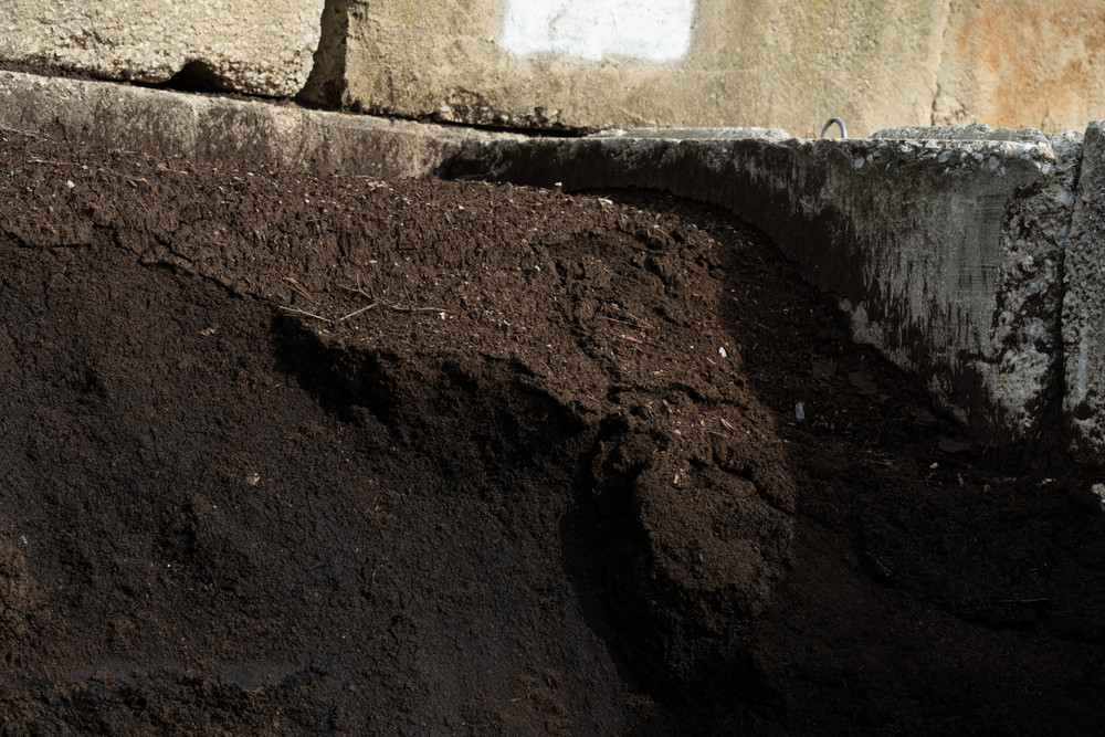 Mushroom Compost Pile